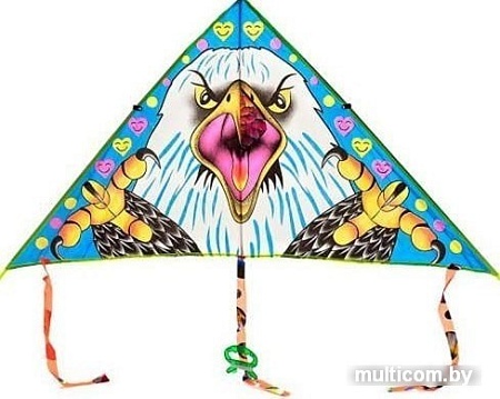 Воздушный змей Ausini VT20-10416