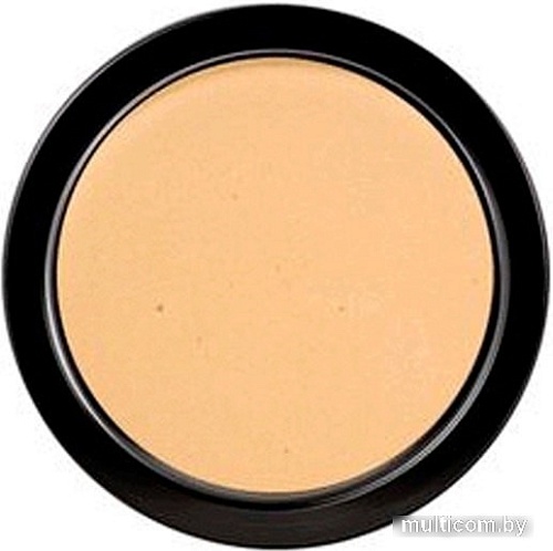 Тональная пудра Paese Illuminating Covering Powder (тон 1C)