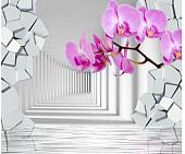 Фотообои Citydecor Орхидея 3D 300x254
