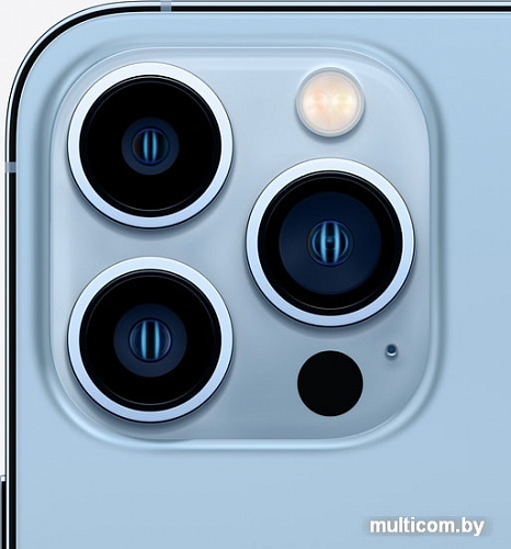 Смартфон Apple iPhone 13 Pro Max 512GB (небесно-голубой)