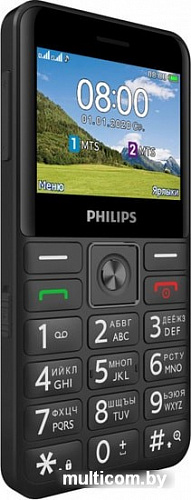 Мобильный телефон Philips Xenium E207 (черный)