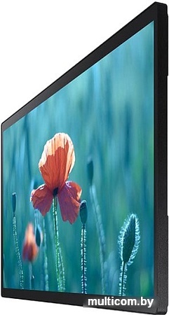 Интерактивная панель Samsung QB24R-T