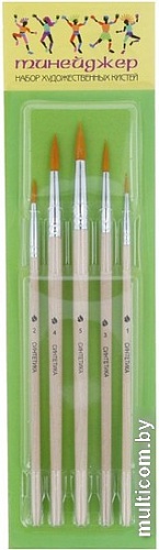 Набор кистей Художественные материалы Тинейджер С-6901 (5 шт)