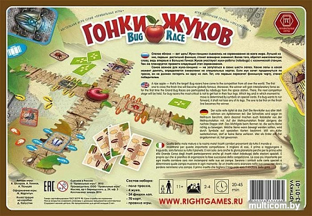 Настольная игра Правильные игры Гонки жуков