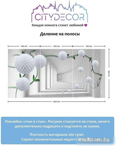 Фотообои Citydecor Абстракция 201 300x150