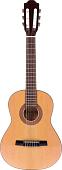 Акустическая гитара Fabio FC02 N