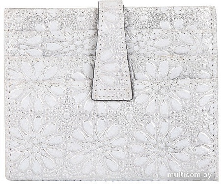 Визитница Fabretti 40025MMTsnow-42