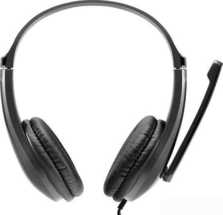 Наушники Canyon CNS-CHSC1B