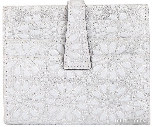 Визитница Fabretti 40025MMTsnow-42