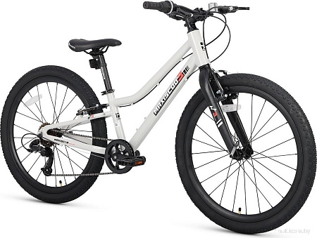 Велосипед Maxiscoo 3bike 24 L 2025 MSC-M3-2403 (серый, разобранный)