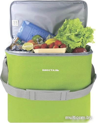 Термосумка BIOSTAL Кантри TCD-G 30л (зеленый лайм)