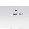 Кухонный нож Victorinox 6.8003.22B