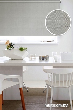 Рулонные шторы Эскар 48x170 (серый)