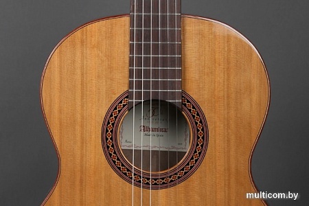 Акустическая гитара Alhambra Student Iberia Ziricote