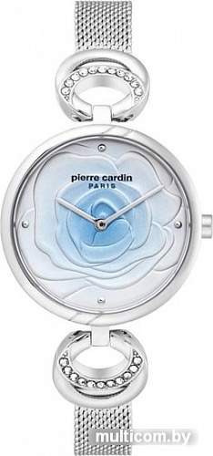 Наручные часы Pierre Cardin PC902762F01