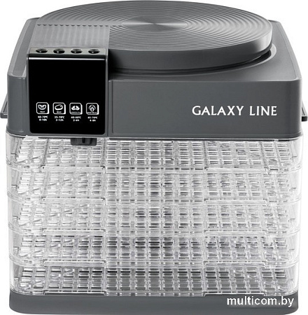 Сушилка для овощей и фруктов Galaxy Line GL2630 (серый)
