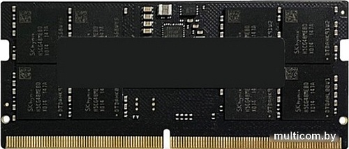 Оперативная память AMD Radeon R5 Entertainment Series 16ГБ DDR5 4800 МГц R5516G4800S2S-U