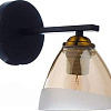 Бра Aitin Pro C1226/1 (черный)