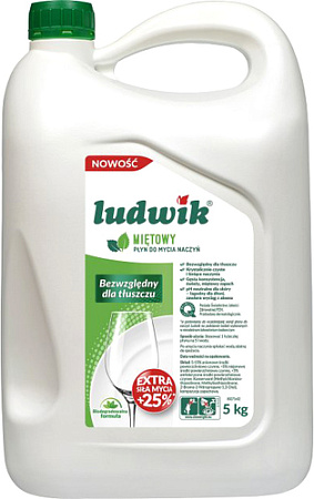 Средство для мытья посуды Ludwik Мята 5 л