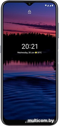 Смартфон Nokia G20 4GB/64GB (грозовое небо)