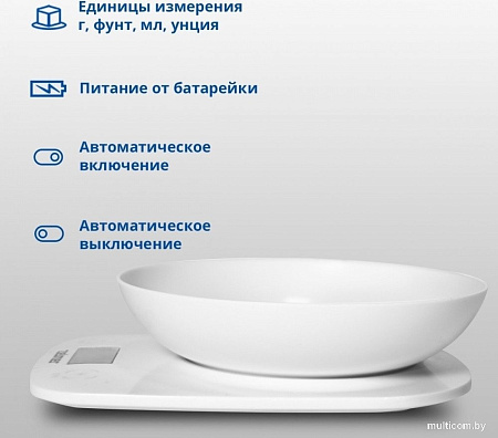 Кухонные весы Zelmer ZKS1460