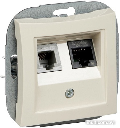 Розетка компьютерная Schneider Electric Дуэт WDE000285