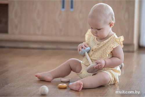 Пирамидка Plan Toys Кольца 5474