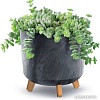 Вазон Prosperplast Gracia Tubus Beton Effect DGTL300LE-S433 (антрацит)