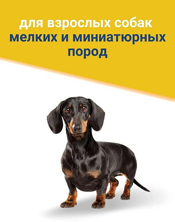 Сухой корм для собак Trainer Natural для мелких пород с сыровял. ветчиной, рис и маточн мол. 0.8 кг