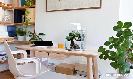 Аквариумный набор AquaEl Shrimp Set Day&Night 30 (белый)