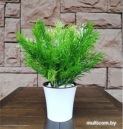 Искусственное растение Forgarden Аспарагус MIX BN10601 30 см
