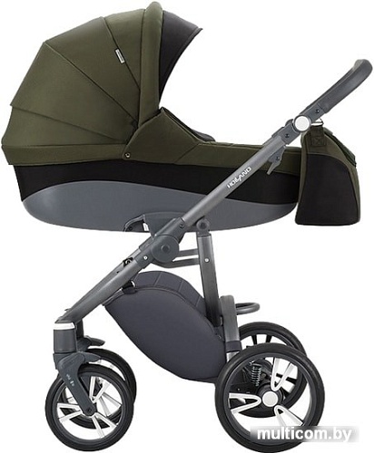 Универсальная коляска BEBETTO Holland (2 в 1, W47)