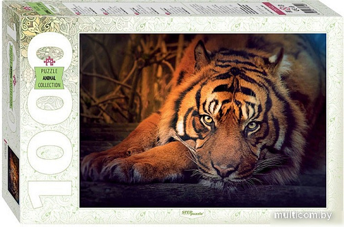 Пазл Step Puzzle Сибирский тигр 79142 (1000 эл)