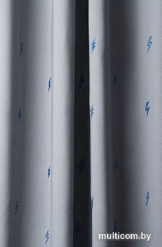 Комплект штор Pasionaria Флэш 290x250 с подхватами (серый)