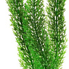 Искусственное растение Barbus Роголистник Plant 015/20 (зеленый)