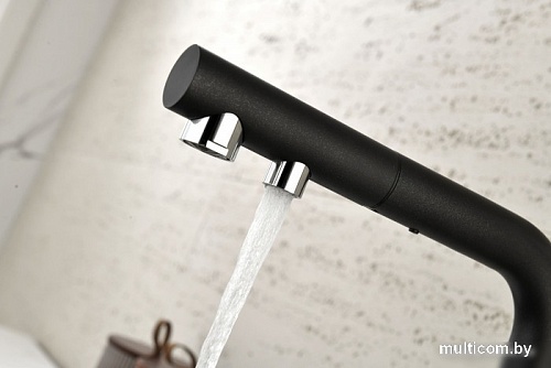 Смеситель Paulmark Serpentine Se213222-NI (стальной/никель)