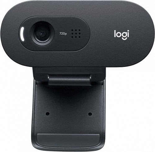 Logitech C505e