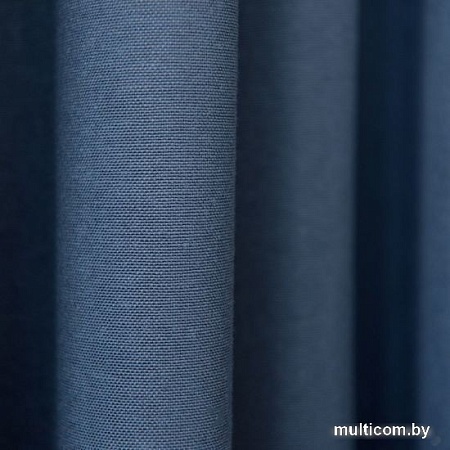 Комплект штор Pasionaria Билли 340x240 с подхватами (синий)