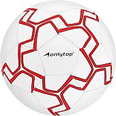 Футбольный мяч Onlytop 1025754 (5 размер, в ассортименте)