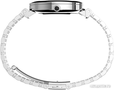 Наручные часы Timex TW2T79300
