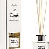 Вещицы White Jasmine ARD-11 (100 мл)