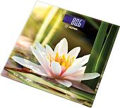 Напольные весы Hottek HT-962-014