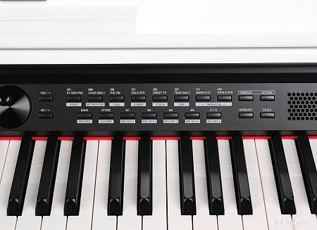 Цифровое пианино Medeli DP330 (белый)