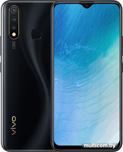 Смартфон Vivo Y19 (черный)