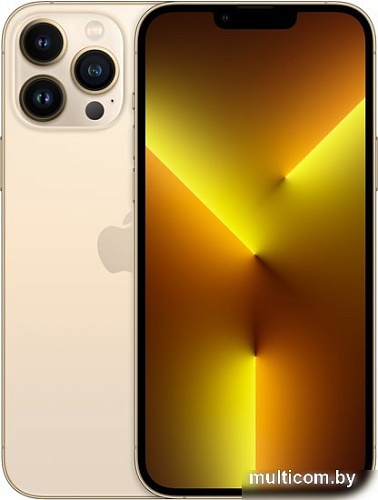 Смартфон Apple iPhone 13 Pro Max 128GB Восстановленный by Breezy, грейд B (золотой)