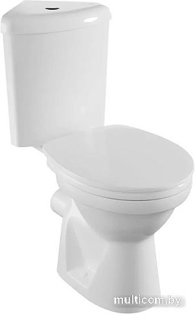 Унитаз напольный Vitra Norm Wenkel 9854B099-7200