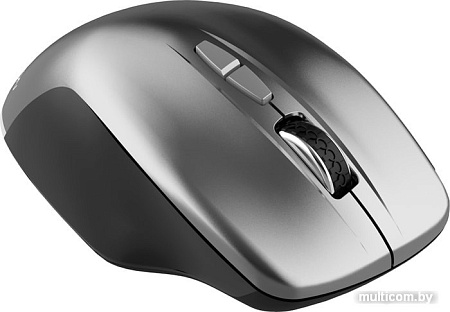 Мышь Canyon MW-21 (графит)