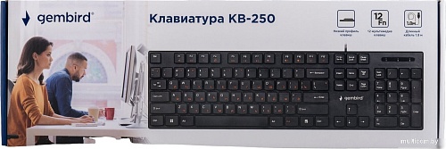 Клавиатура Gembird KB-250