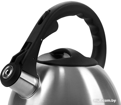 Чайник со свистком Polaris Verde-2.2L