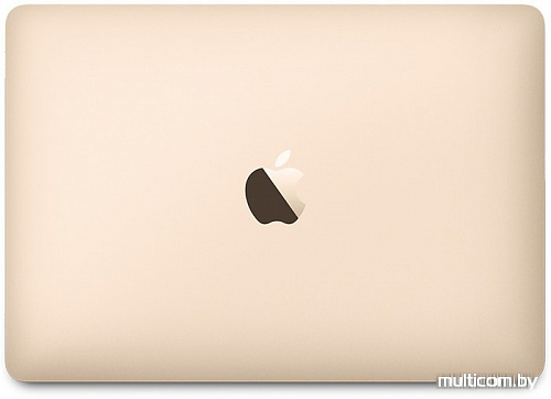 Ноутбук Apple MacBook 2017 MNYL2